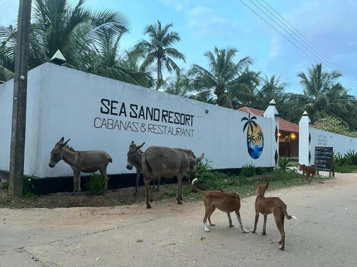 Sea Sand Resort Калпітія Екстер'єр фото